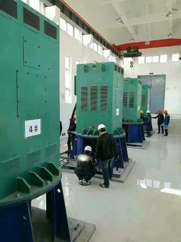 淮北某污水处理厂使用我厂的立式高压电机安装现场